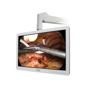 Other Full HD monitors